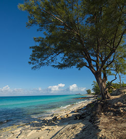 Isole Bimini