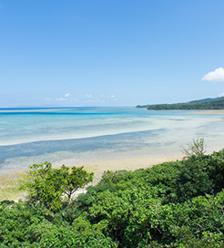 Isola di Iriomote