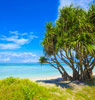 Isole Gili